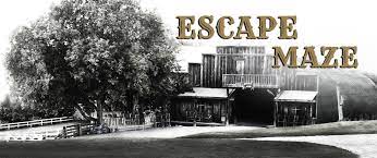 Escape Maze trip 
